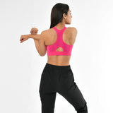 Back Mesh Sports Bra
