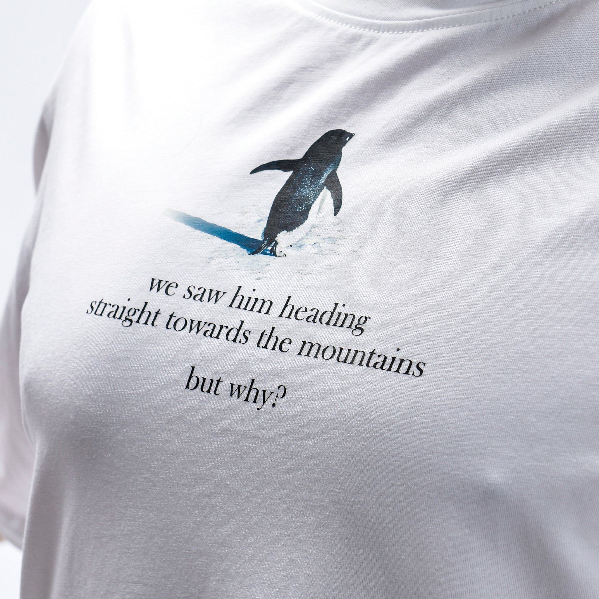 DragonBall Z Oversize-T-Shirt